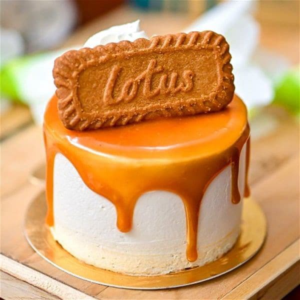 Lotus Cheesecake Slice